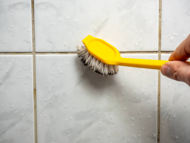 Best Insurance-Related Mold Remediation in Conneaut, OH